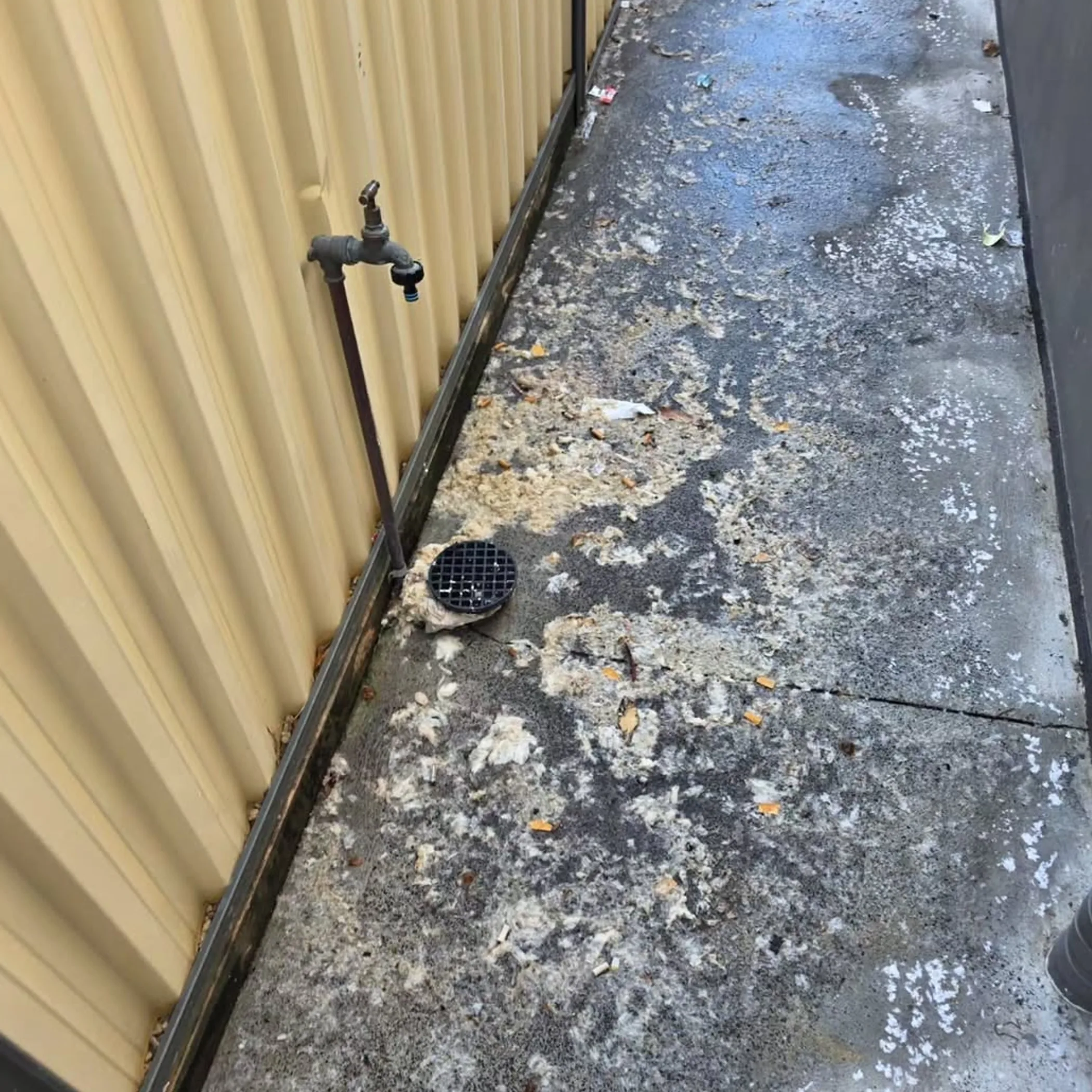 blocked drain surrounded by debris