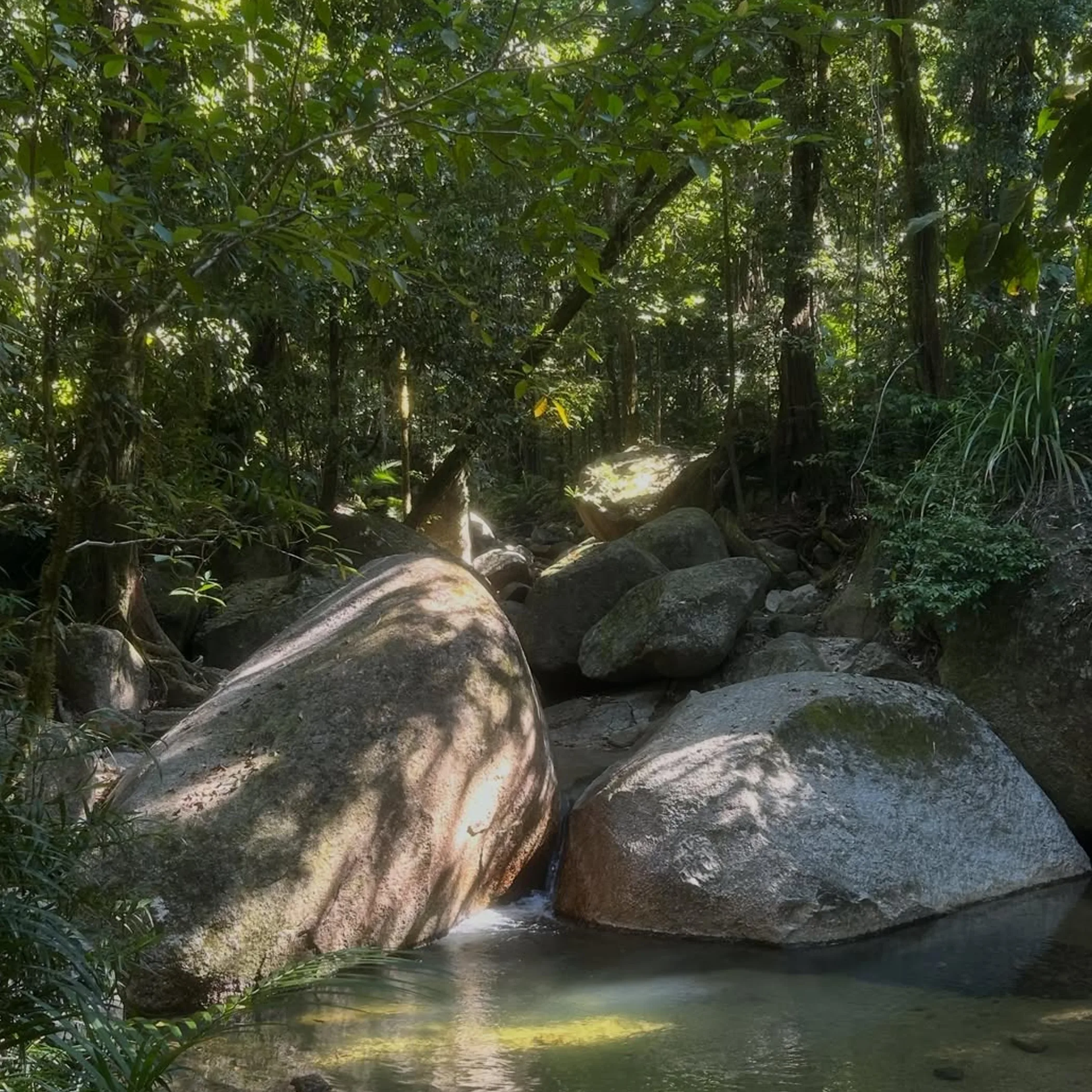 rainforest creek, boulders, and swimming hole