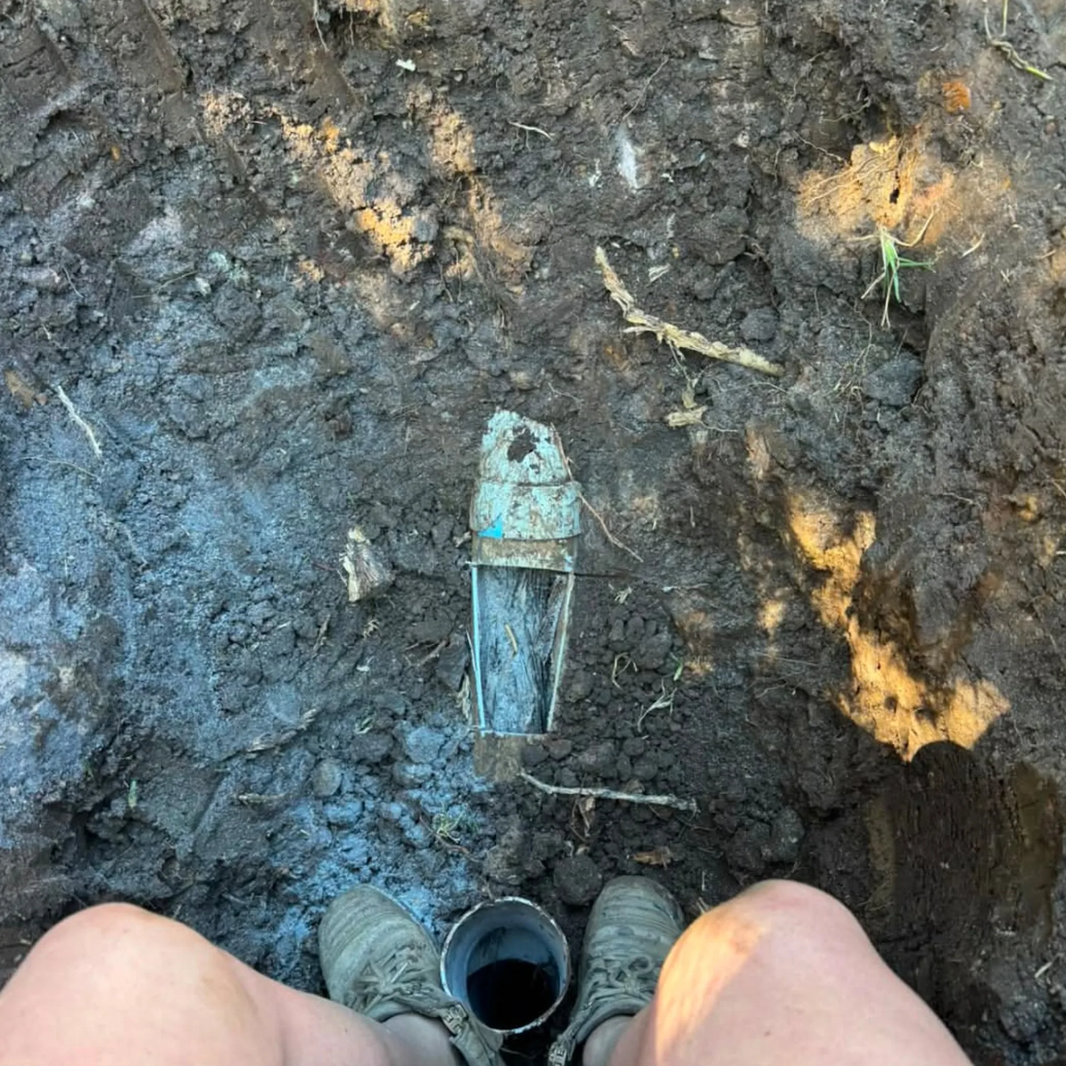 plumbing work for tree-root sewer damage