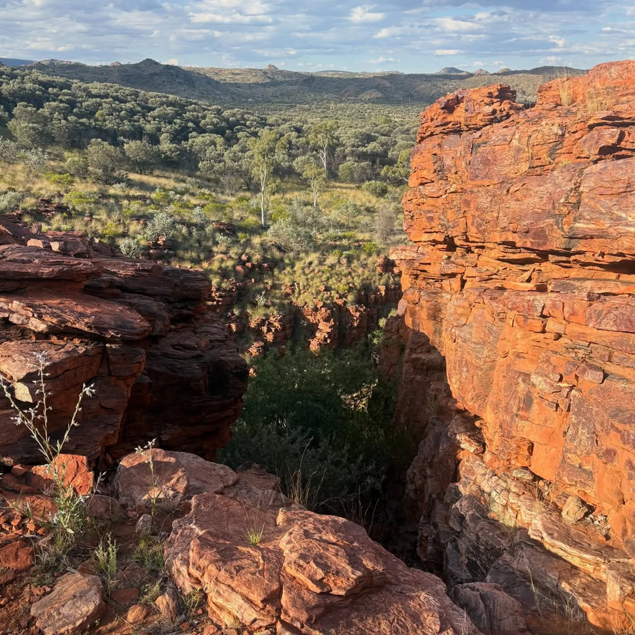 red-rock gorge landscape