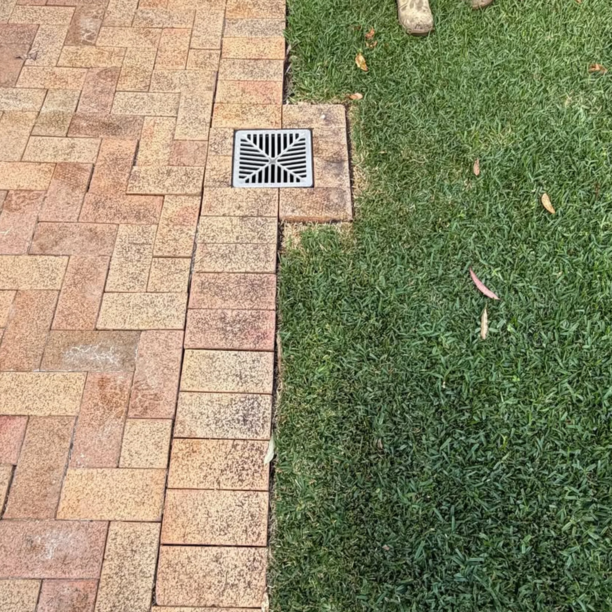 stormwater drain pit beside grass