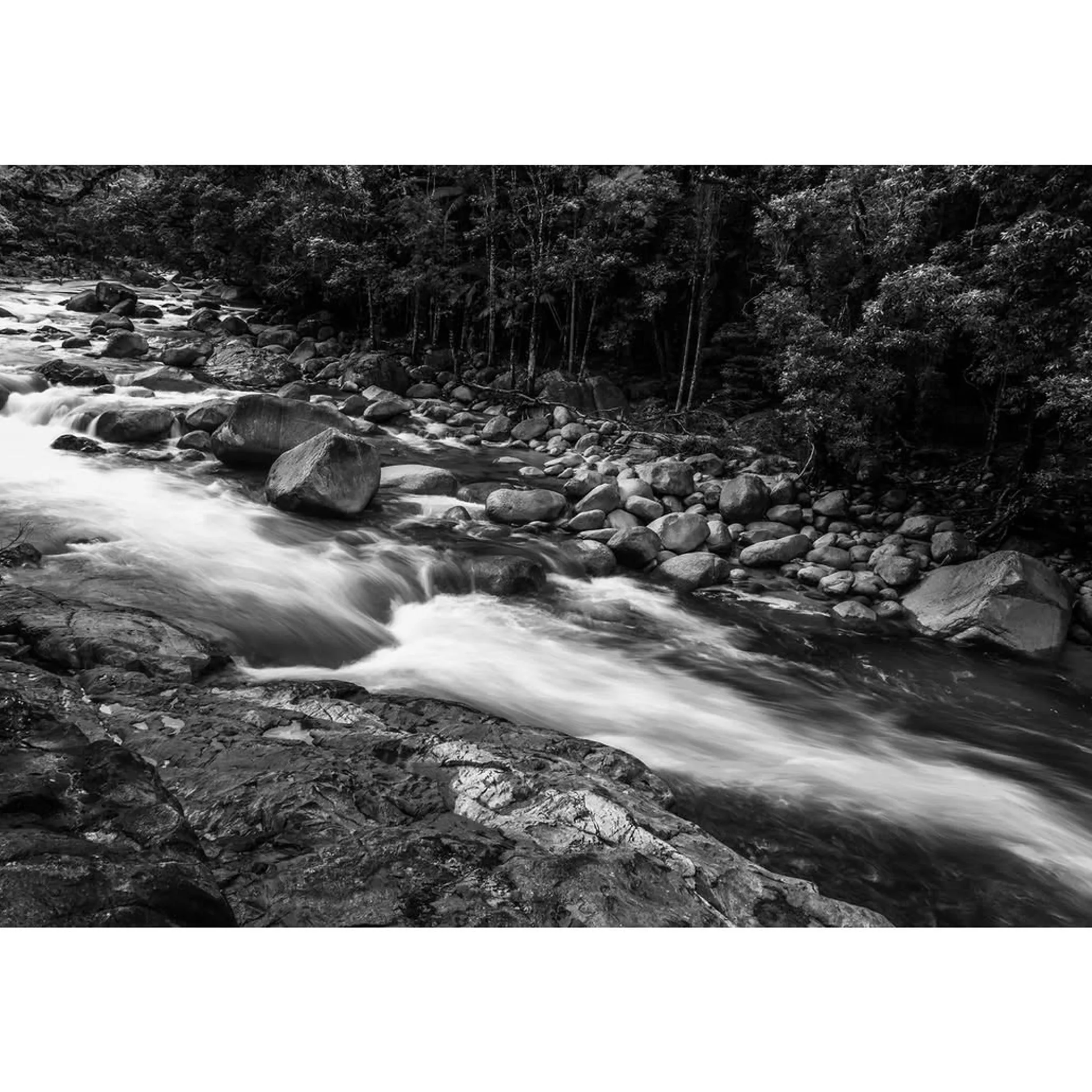 rainforest river and swimming hole