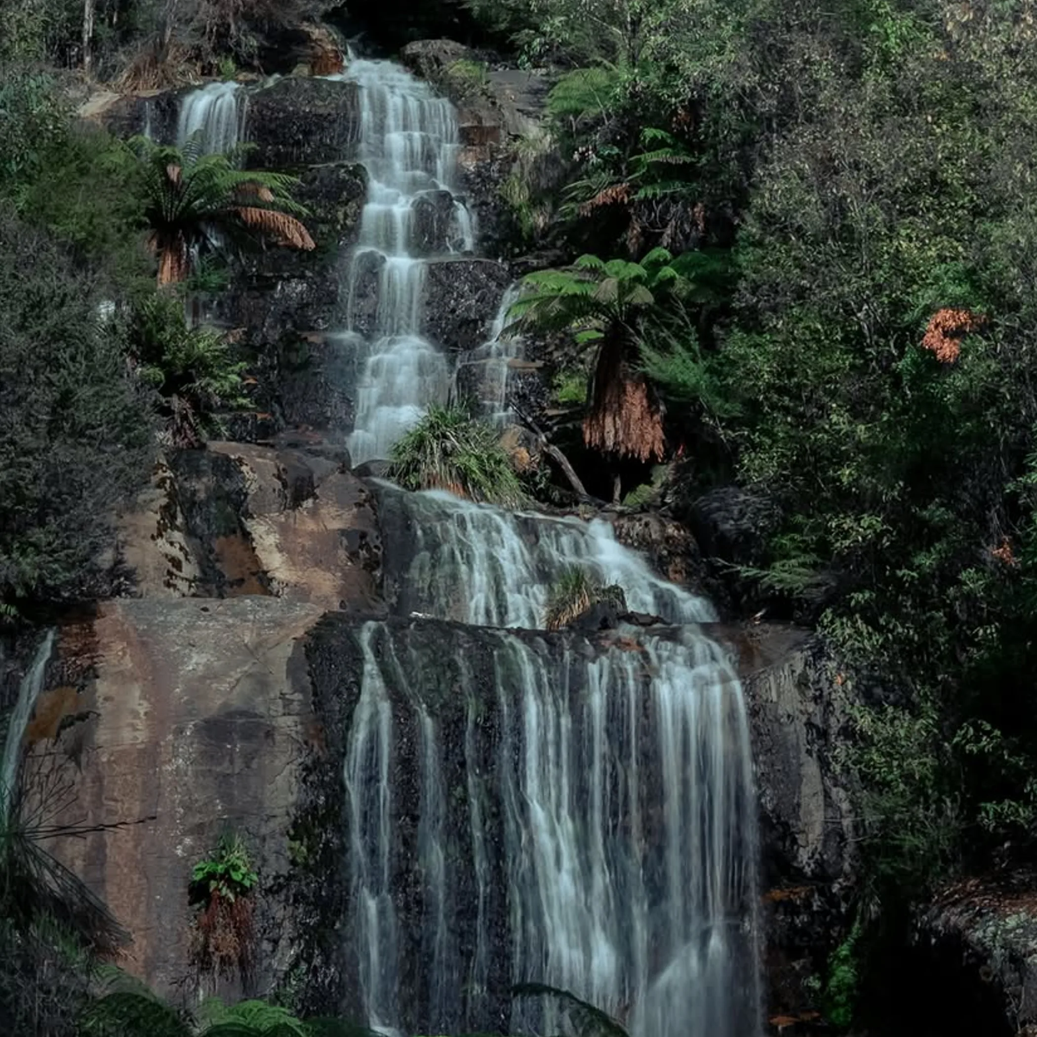fainter falls scenic victoria destination