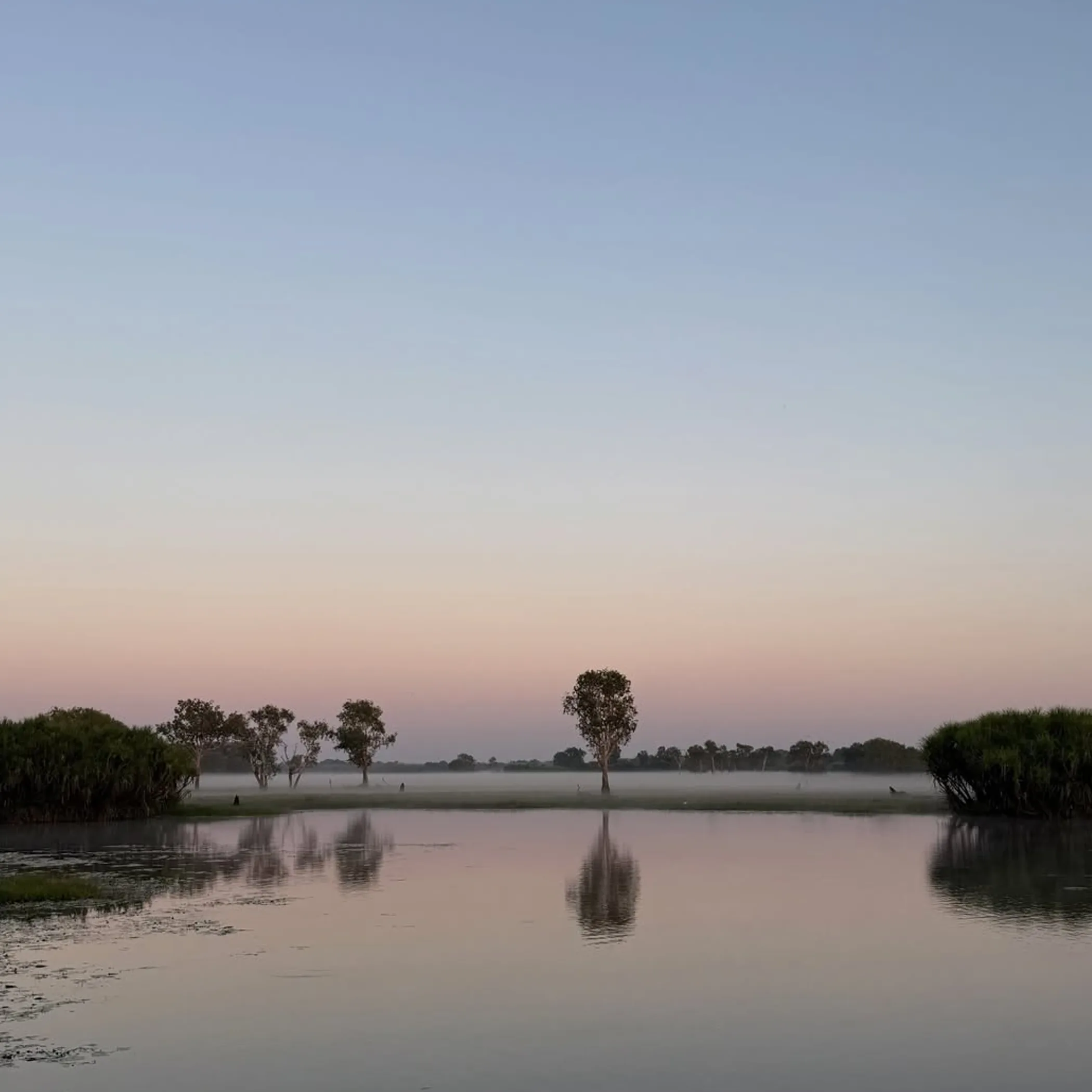 clear view of kakadu waterhole