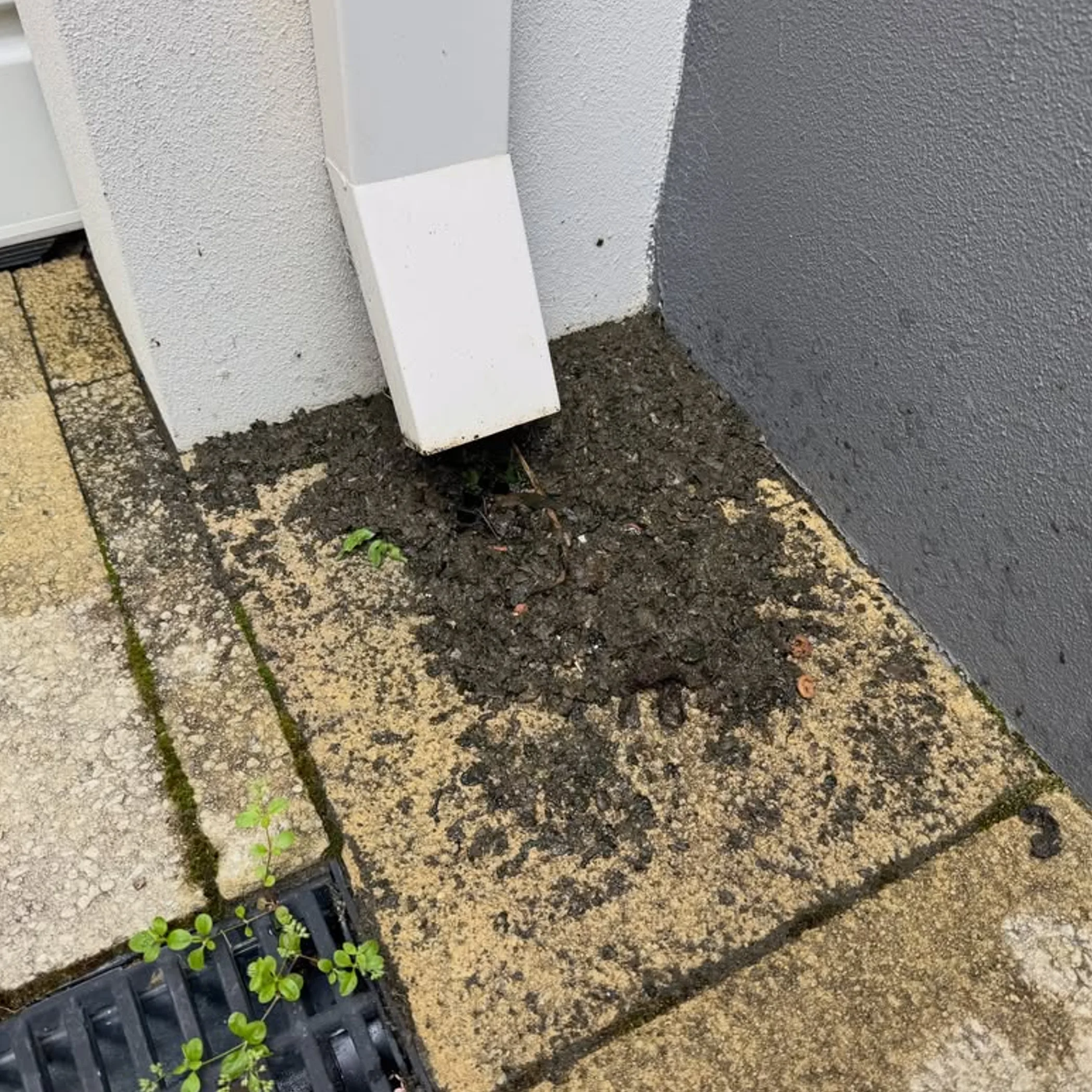 roof debris cleaned from paving near downpipe